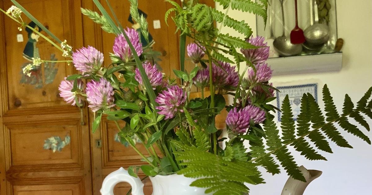 Le jardin du 14 Mai