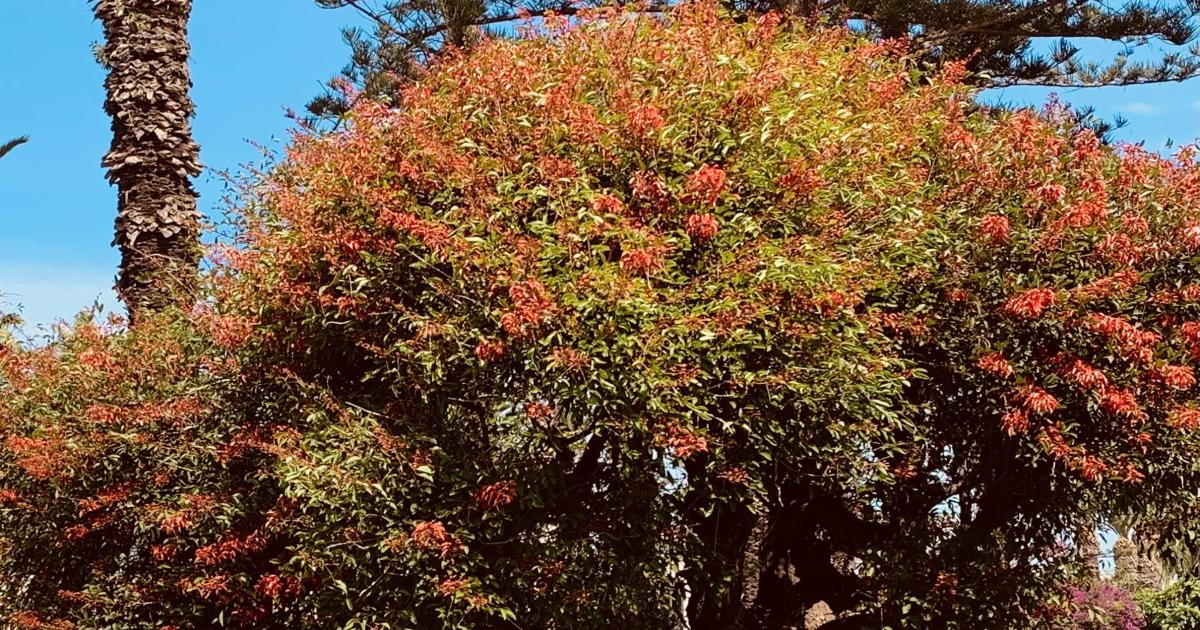 Aux portes de l'Atlas