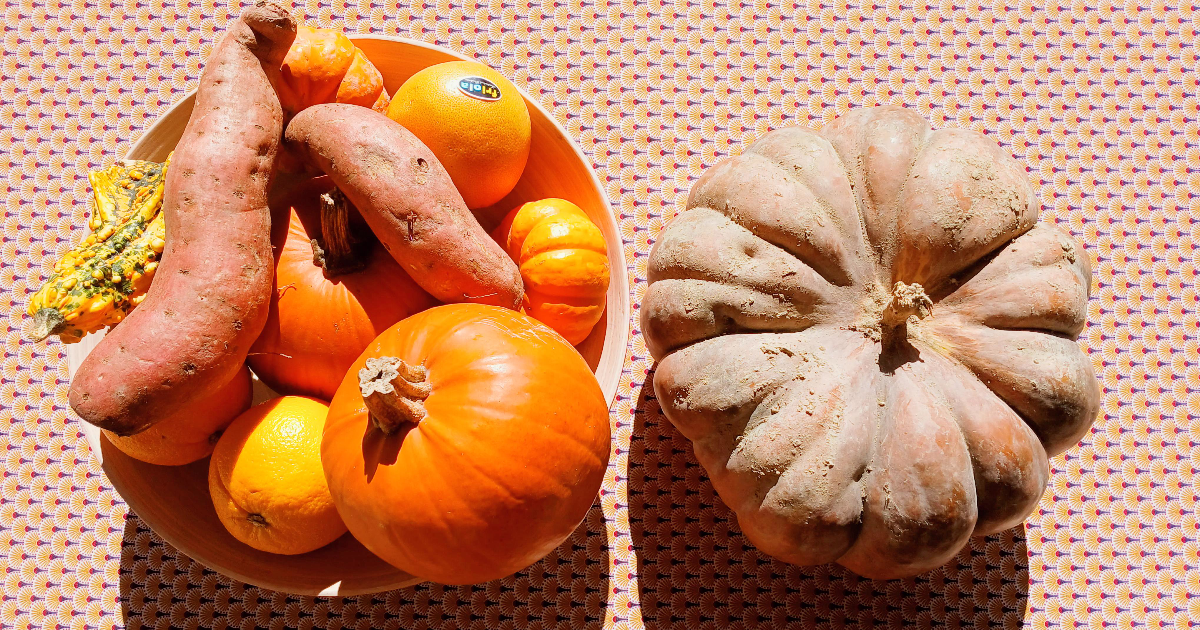 Sagesses vivantes de la vieille mère Salothe