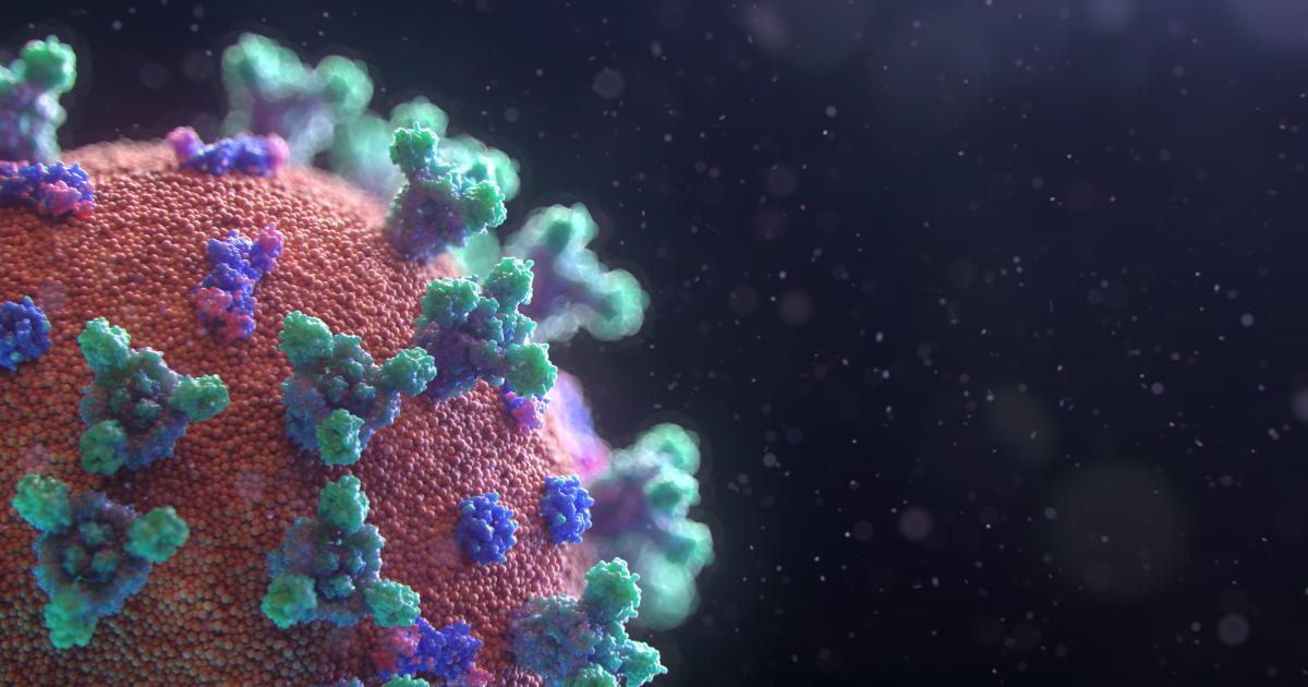 Je m'appelle " CORONAVIRUS "