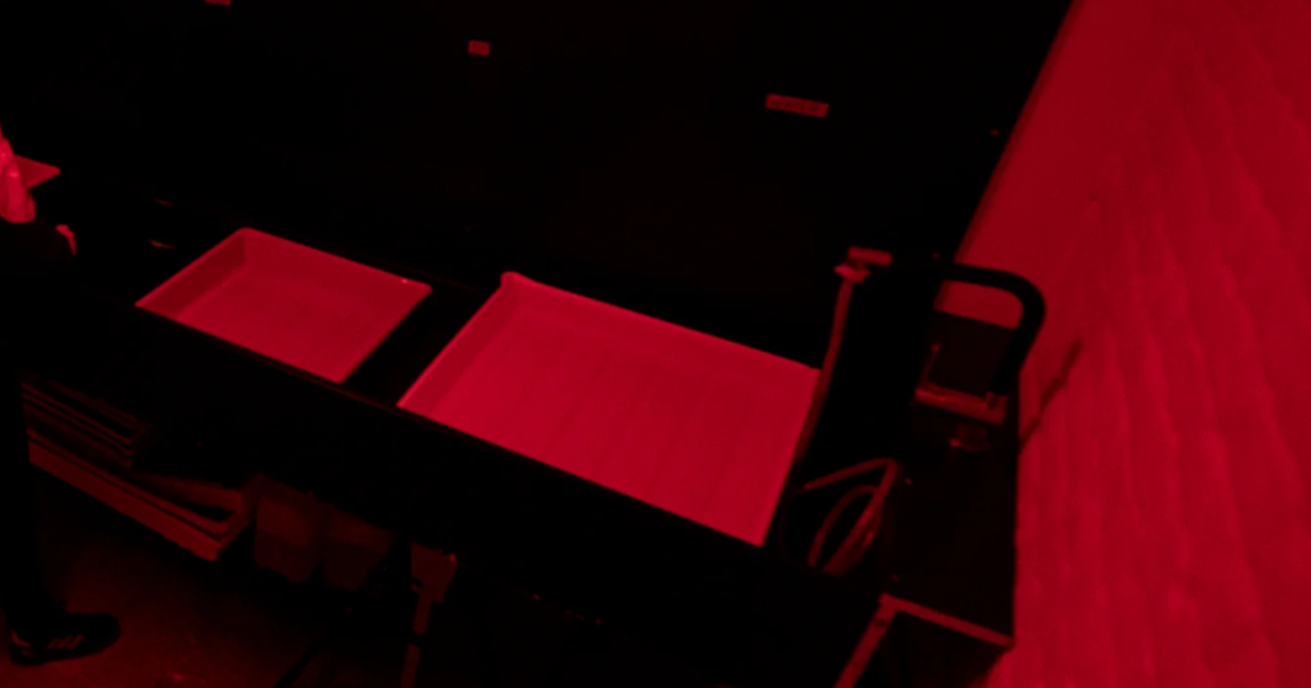 Concours d'écriture : Plumes en voix 2024/2025 - Thème : "Illusion"