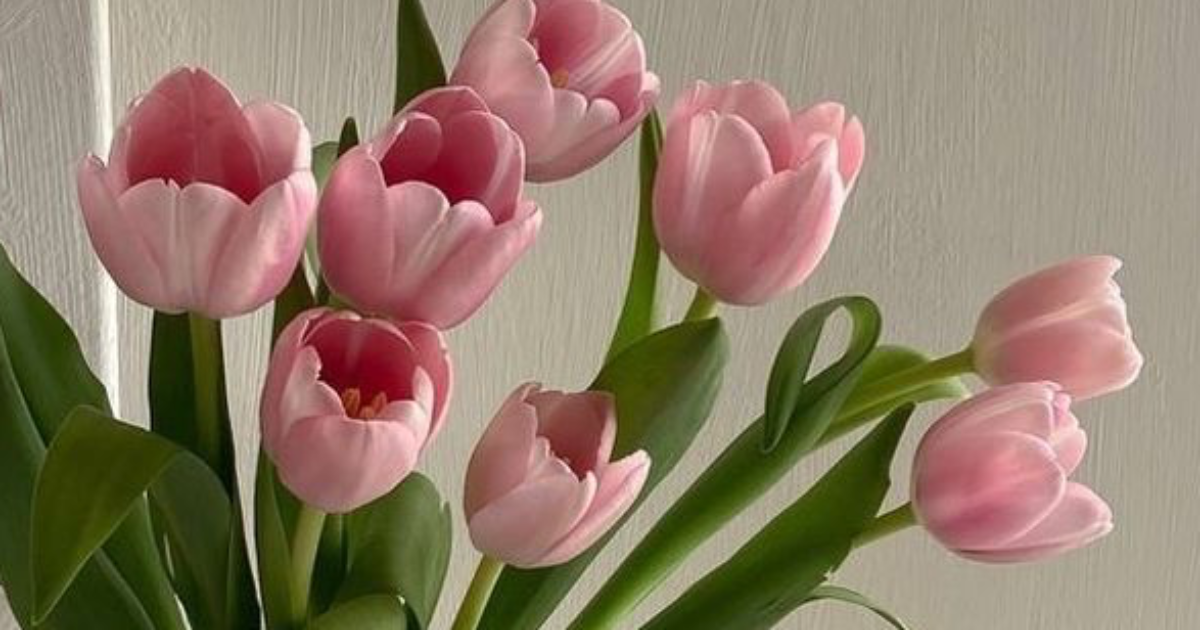 đđȘ'đđ©đ©đđŁđđđŻ-đ«đ€đȘđš? đđđŁđ©đđŻ!