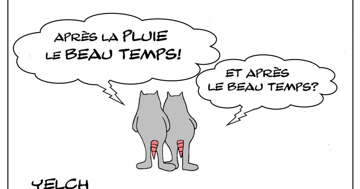 Météo en boucle