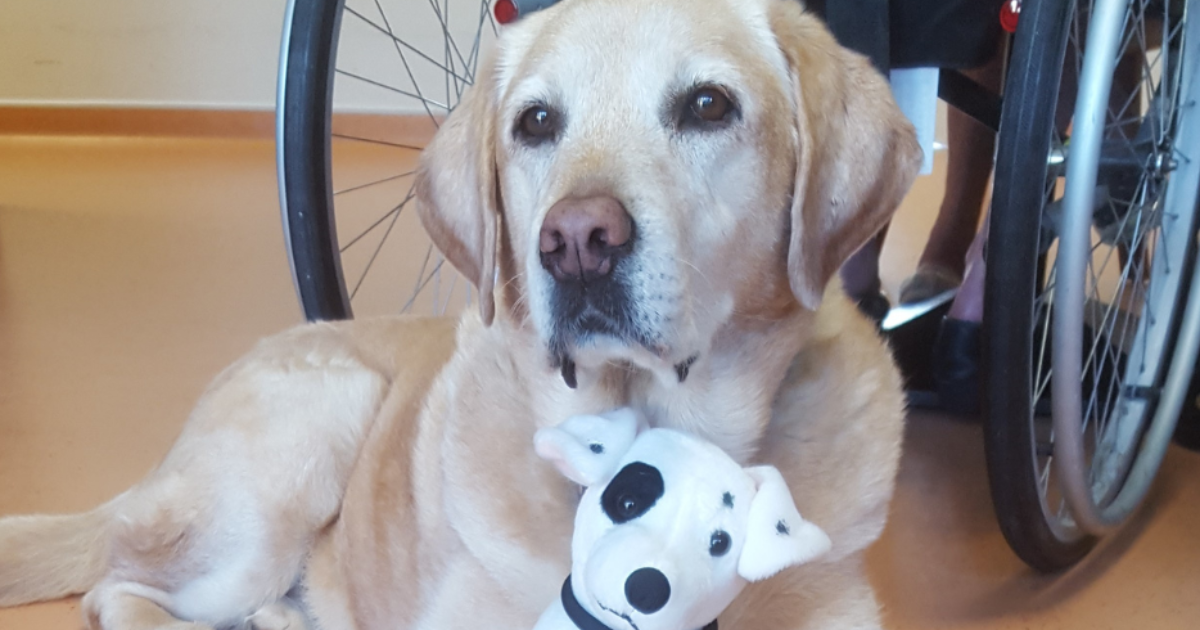 Message de Haloha : Sagesse et ancrage