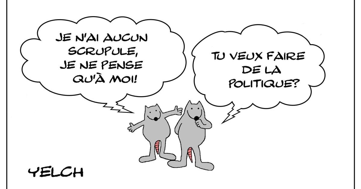 Le rat qui voulait faire de la politique