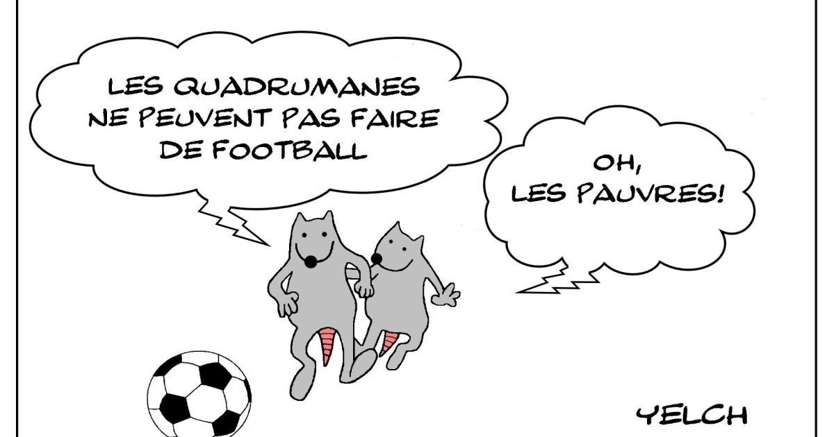 Les rats qui jouaient au foot