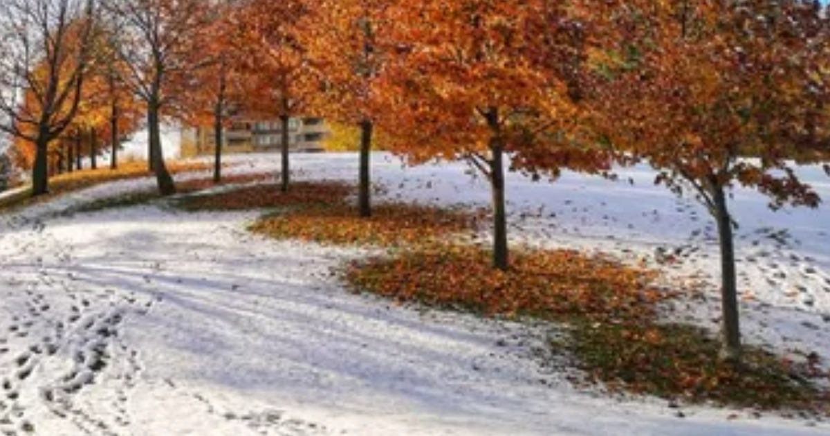 La prison des saisons