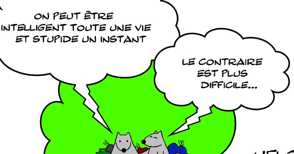 Intelligence et stupidité