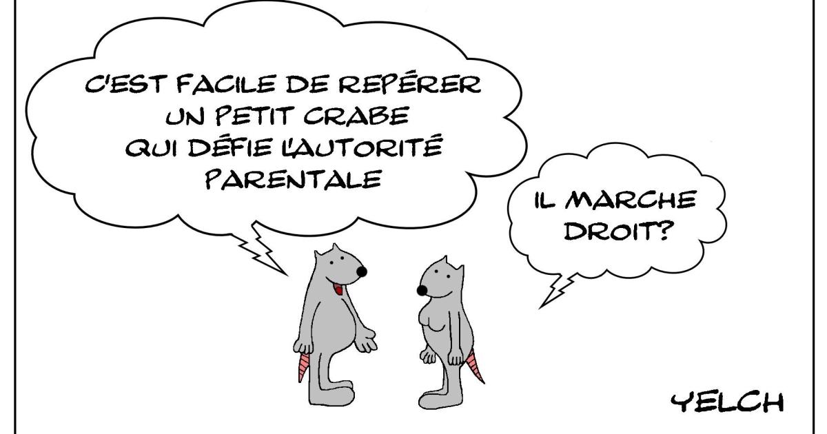 Le rat qui étudiait les crabes