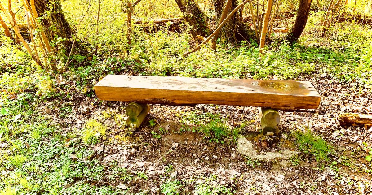 Contemplation sur le banc