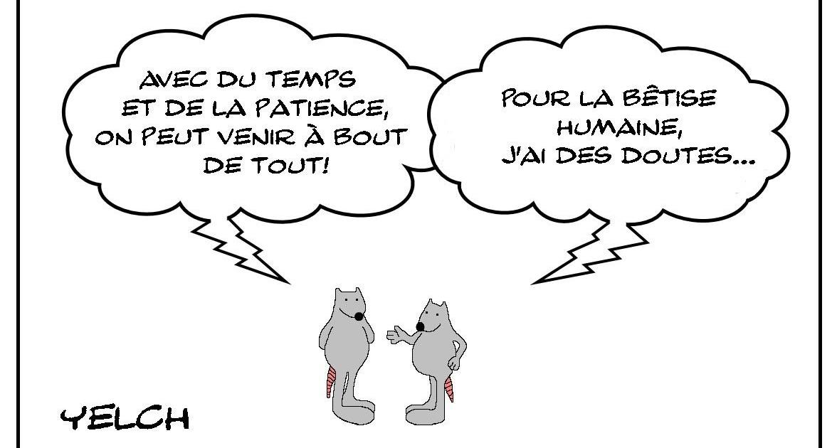 La bêtise et le temps