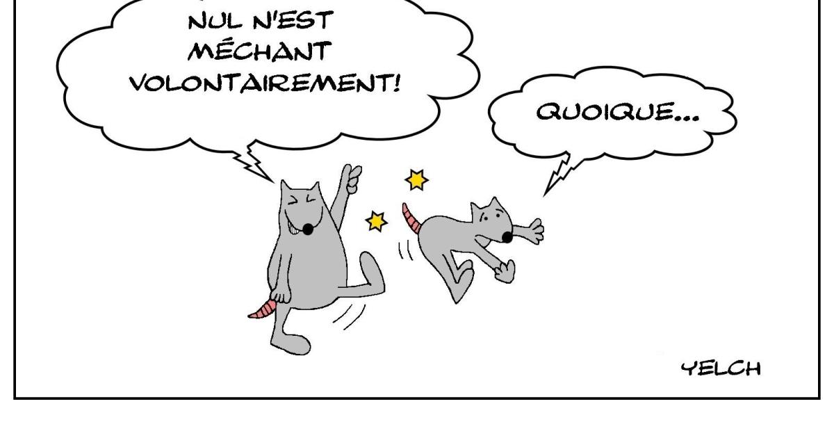 Raymond Devos répond à Socrate