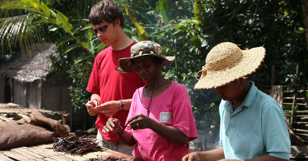 La vanille - De Son Histoire à son Utilisation