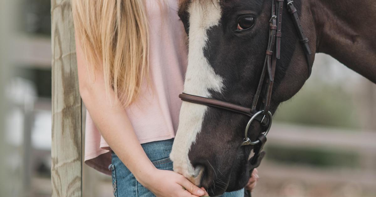 Ecurie Kevyn Thonnerieux : Nos partants vendredi à Toulouse