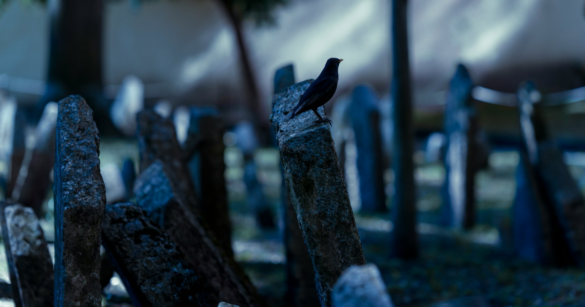 Allée quatre et rang deux