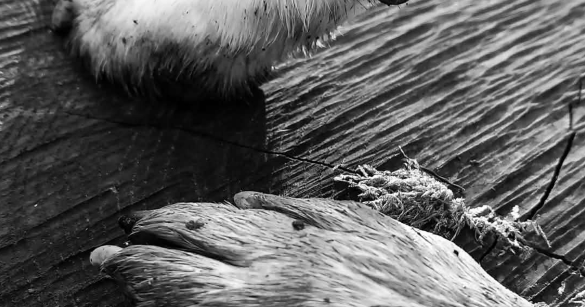 Chronique N°2 : Le Fil invisible (Un Happy End)