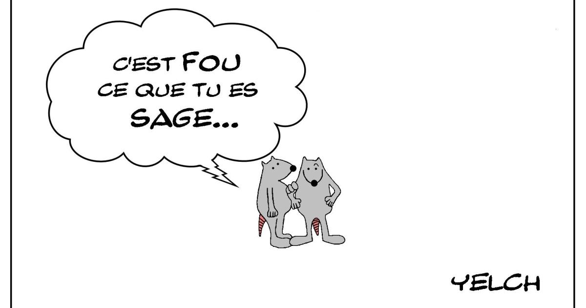 La folie de la sagesse
