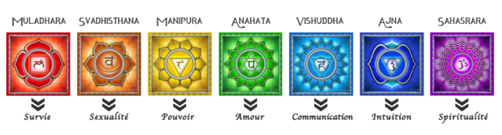 Les POUDRES de PLANTES AYURVEDIQUES