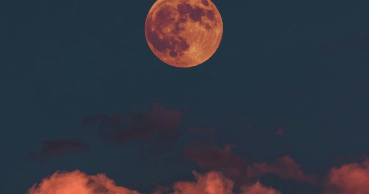 Une journée d'hiver austral