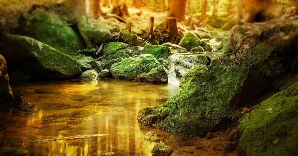 Joyeux anniversaire, Lili