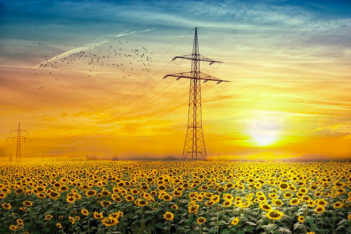 J'ai appris (poème)