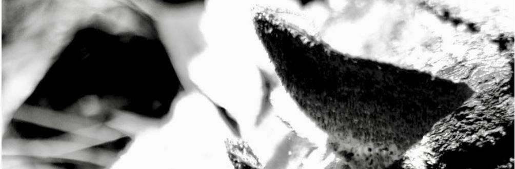 Notice (mode d'emploi).... non approuvée par l'ANSM