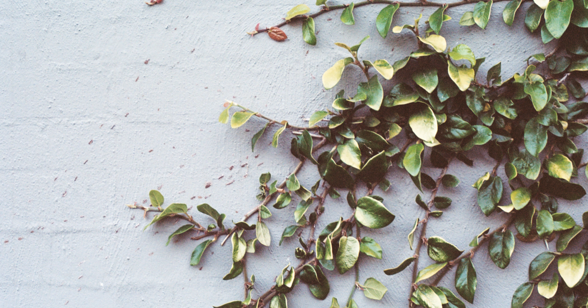 Il sonno della ragione