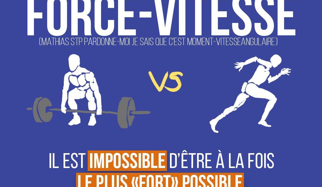 La relation force-vitesse