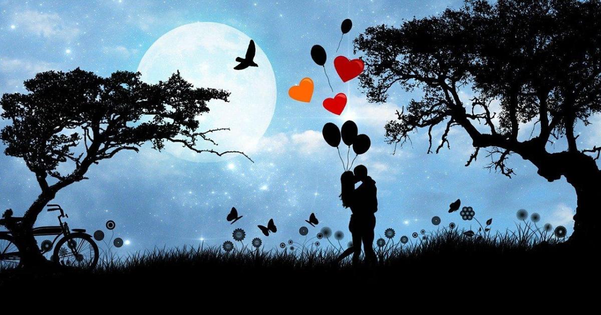 J'ai lu "Un Amour de jeunesse" de Margot Malmaison