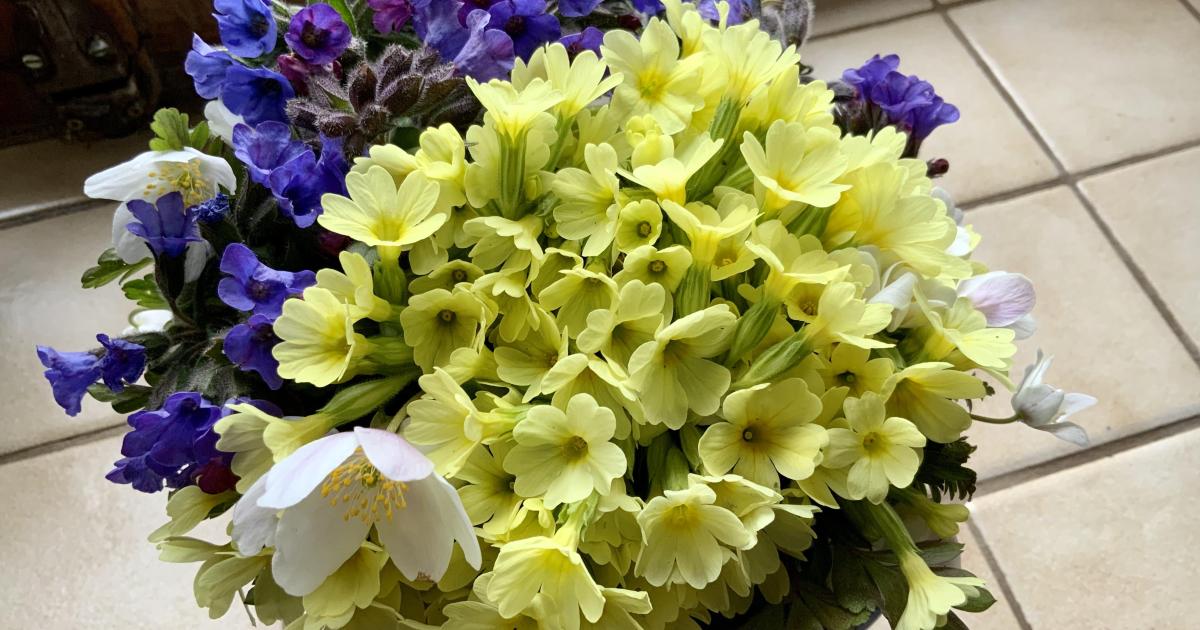 Votre bouquet du Dimanche 13 Mars