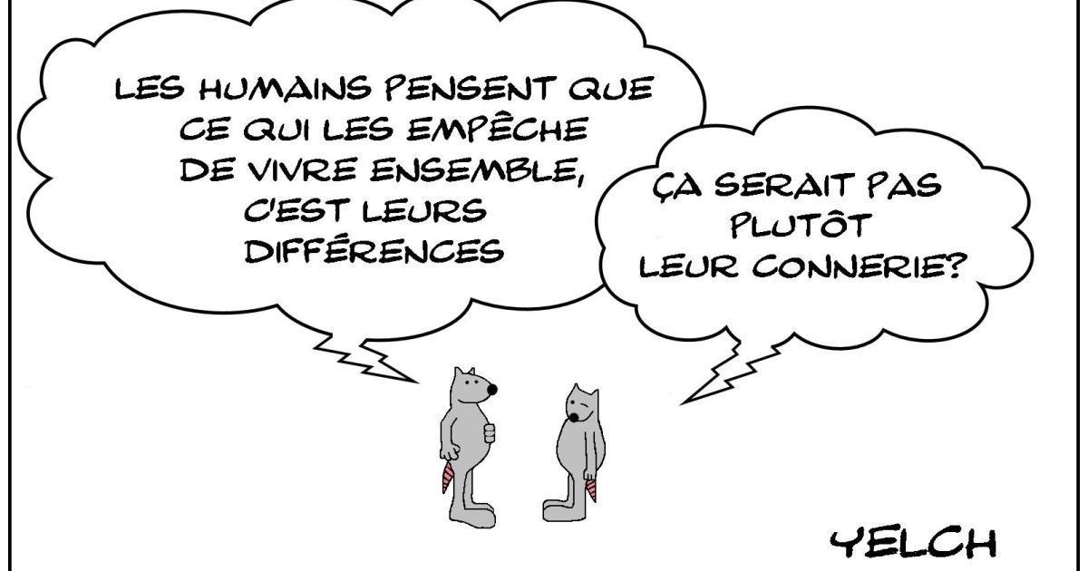 Différences et connerie