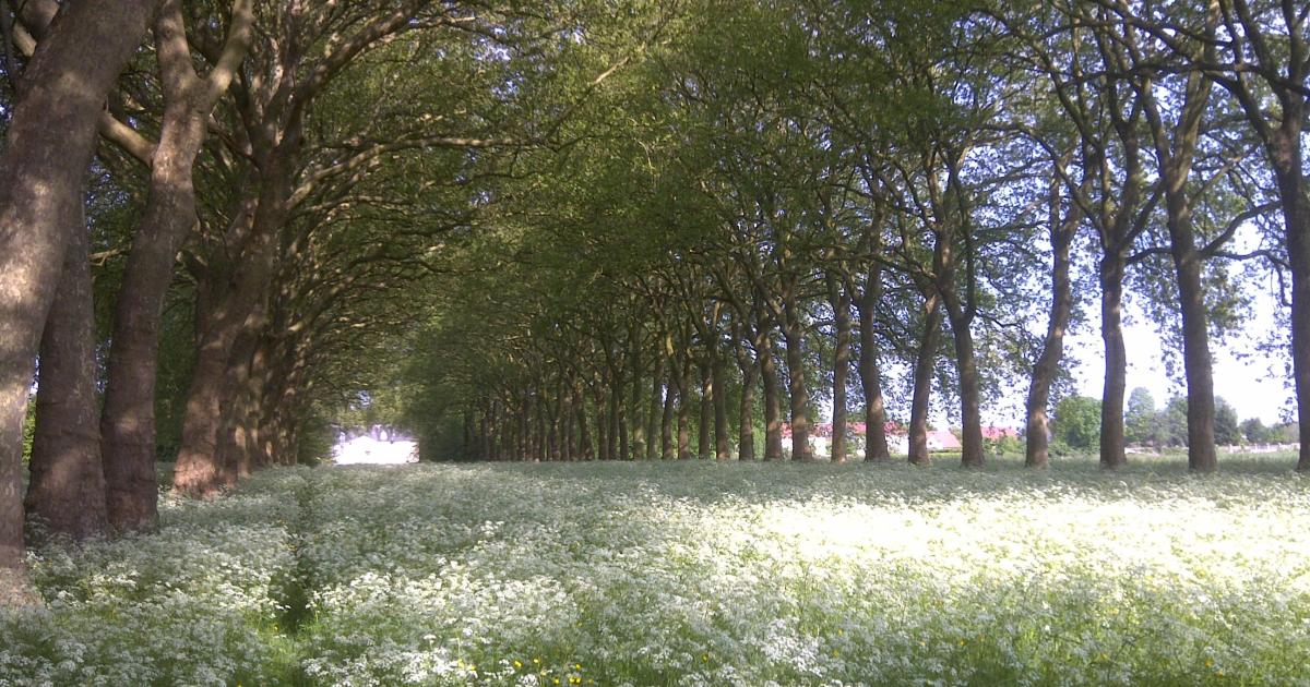 Comme aux jours de l'enfance