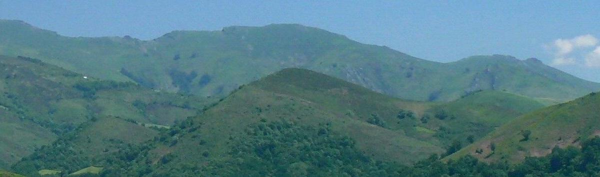 9 sociétés mises en demeure de réduire leur pollution plastique