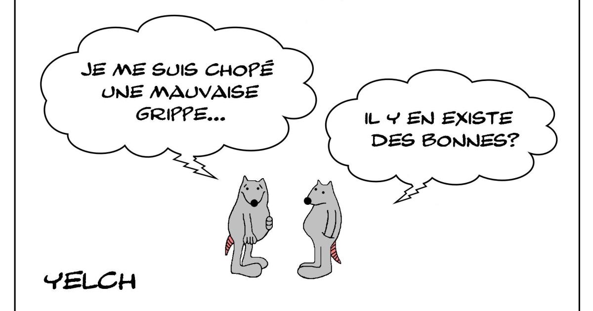 Le rat qui s'était chopé la grippe