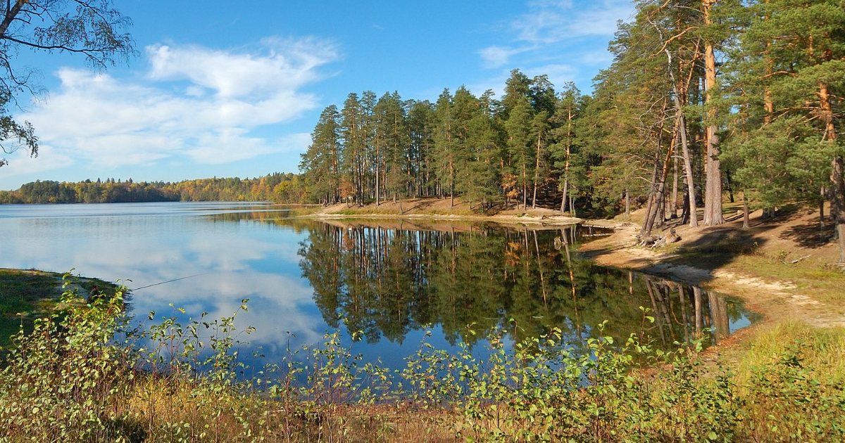 Avis lecture : La Colonie, d'Annika Norlin