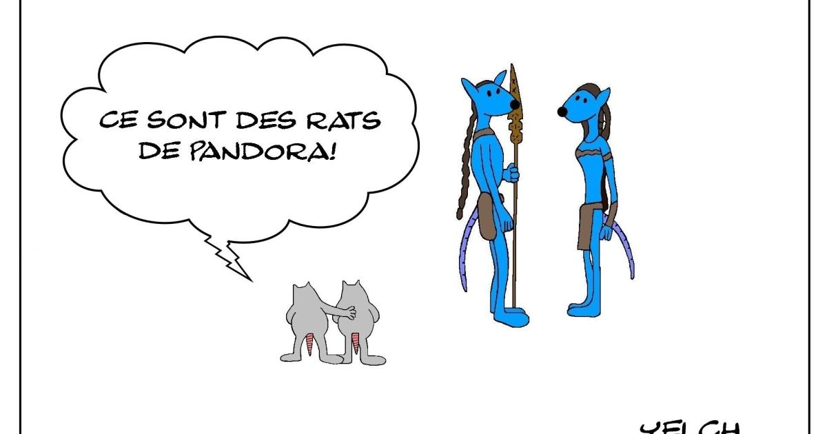 Les rats qui venaient de Pandora