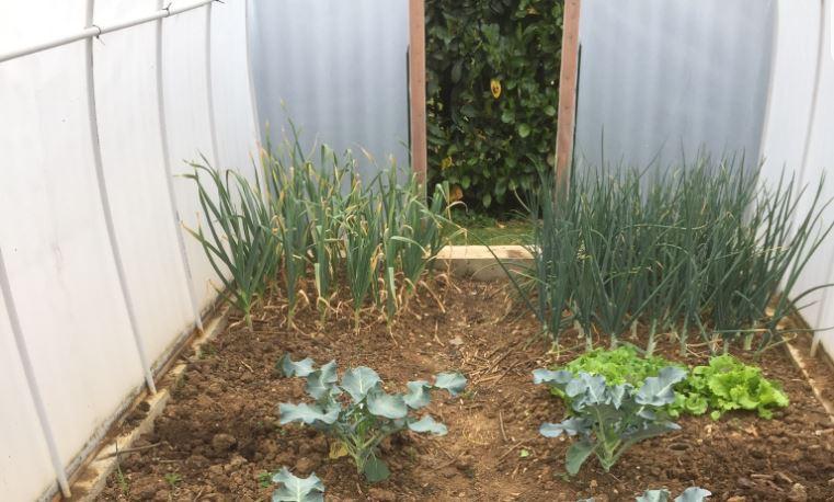 Le jardin du 5 Mai