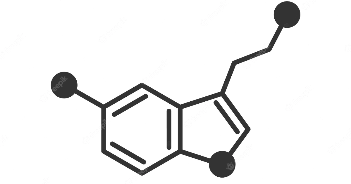 Essere felici è una questione di chimica, letteralmente