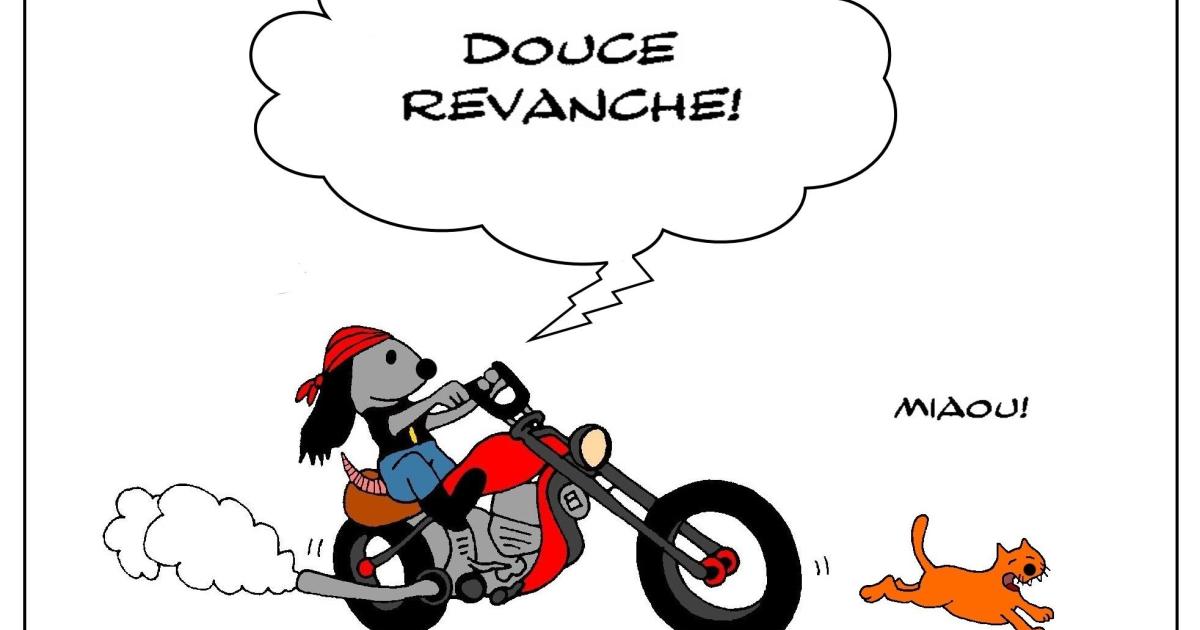 Le rat biker