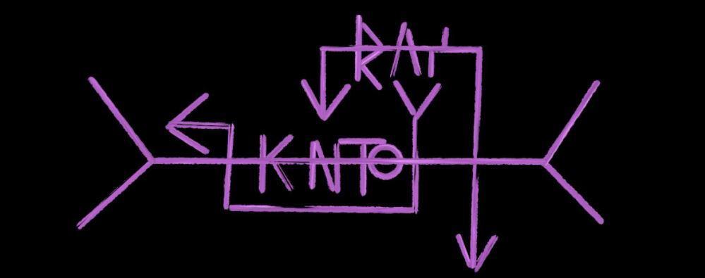 les vecteurs directifs du raisonnement poétique