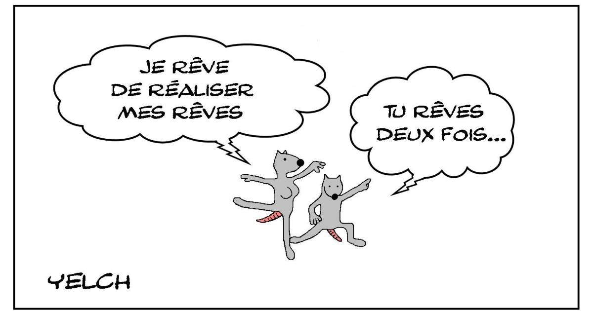 Réalise tes rêves mais ne rêve pas trop...