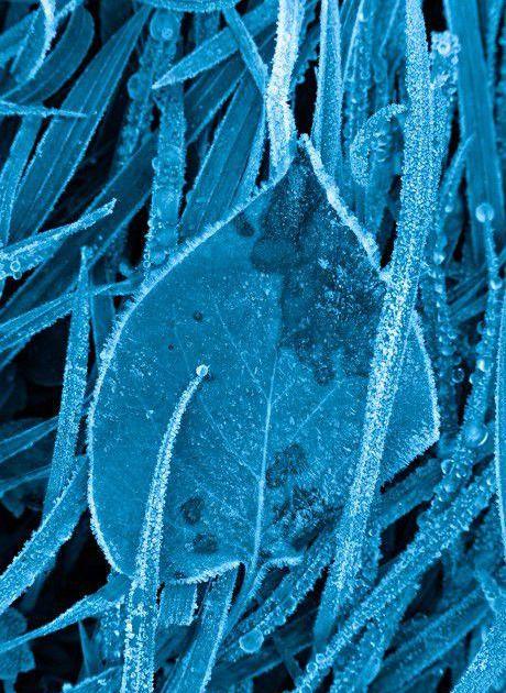 2-La couleur de la peur