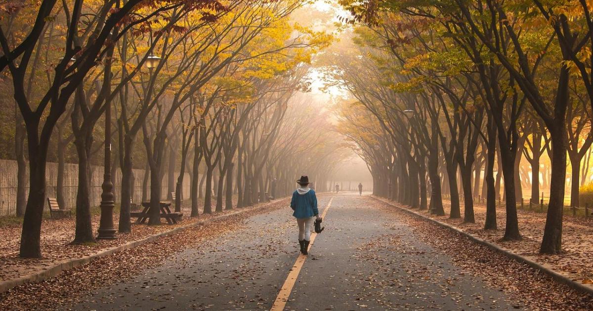 Jour 8  - 30/11/2018