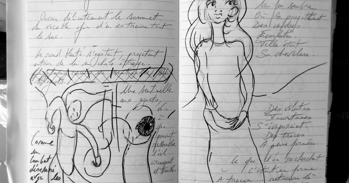Petits Papiers Volants : Journal D'écriture 2003-2018 - Mardi 9 janvier 2018