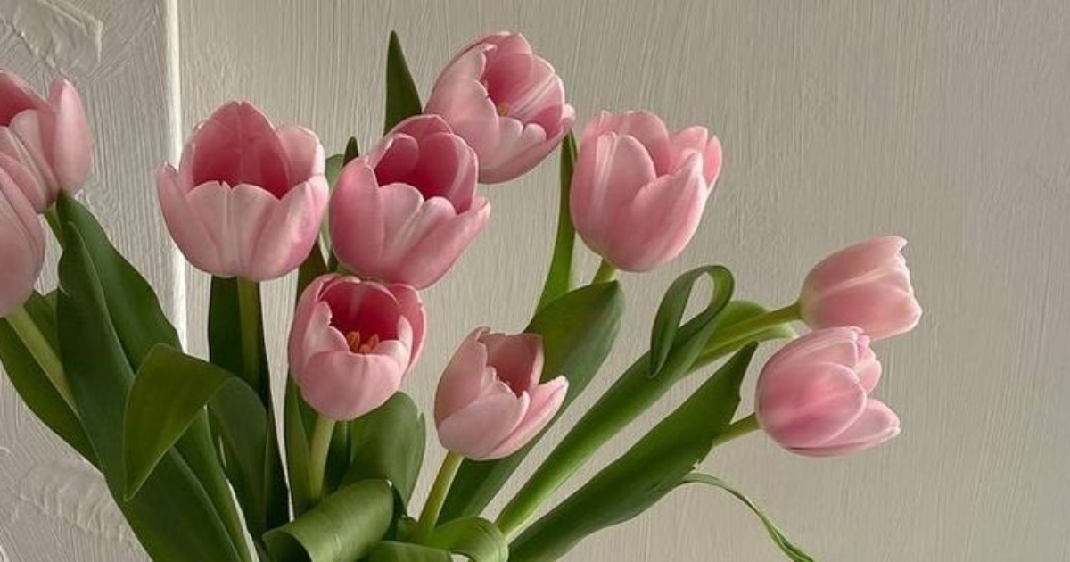 π π°πΆ π±π³π°π£π’π£ππΊ π―π¦π¦π₯ π΅π° π©π¦π’π³ π΅π©π’π΅.