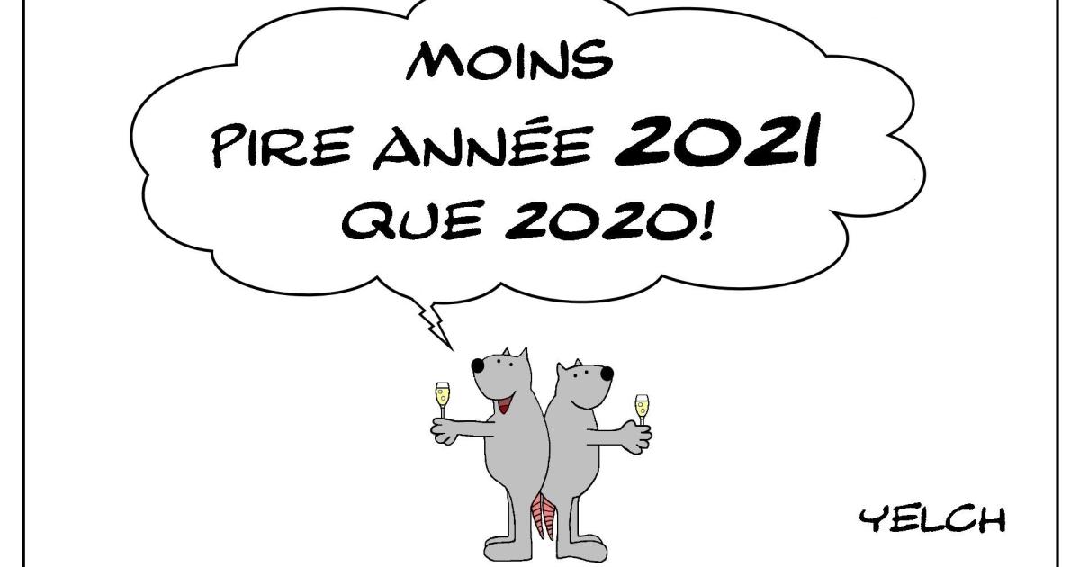 Bonne année à tous les membres de Panodyssey!