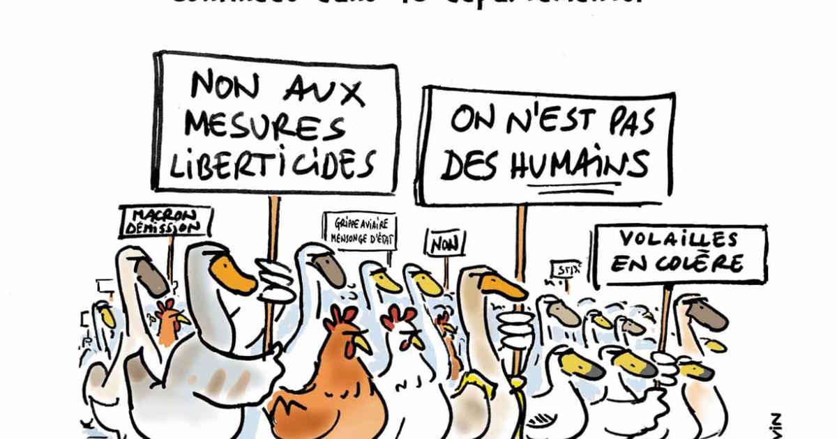Grippe aviaire le confinement de trop !