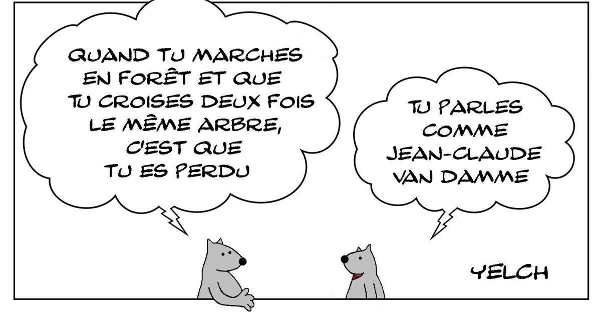 Le rat qui parlait comme Jean-Claude Van Damme