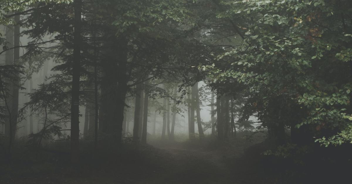 S ' ENFONCER DANS LA BRUME