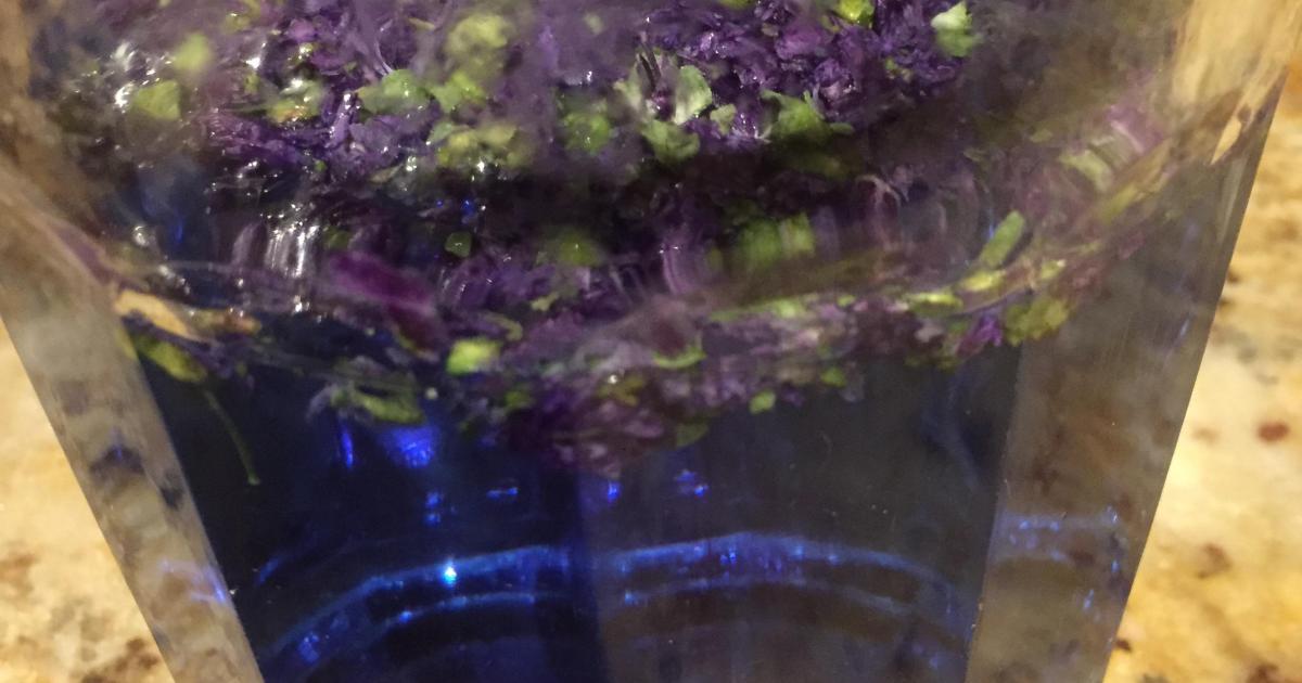 Le jardin du 12 Septembre